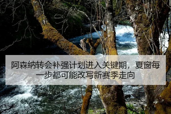 阿森纳转会补强计划进入关键期，夏窗每一步都可能改写新赛季走向 | kaiyun